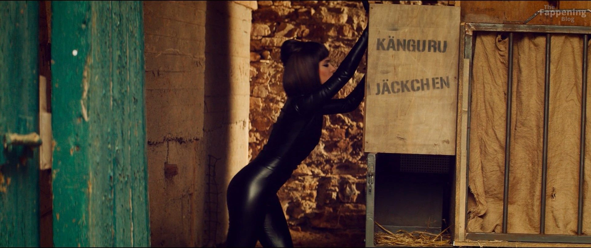 aylin-tezel-sexy-8-the-fappening-pics