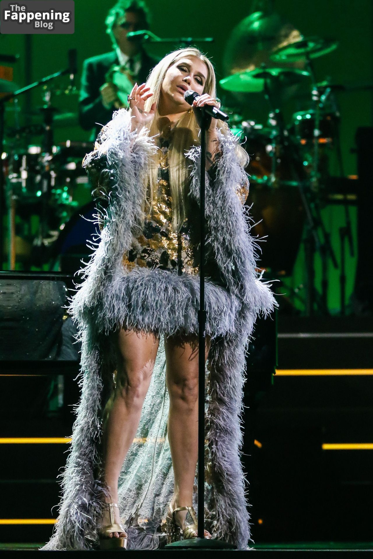 kesha-concert-10524-the-fappening-pics_