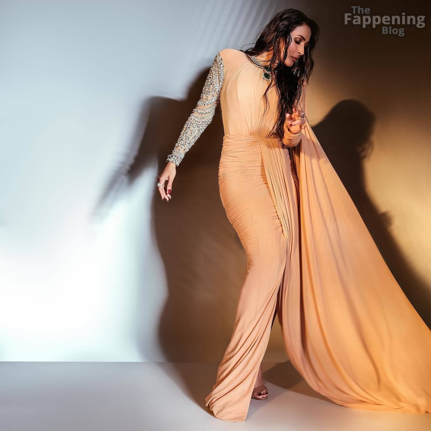 malaika-arora-sexy-56-the-fappening-pics