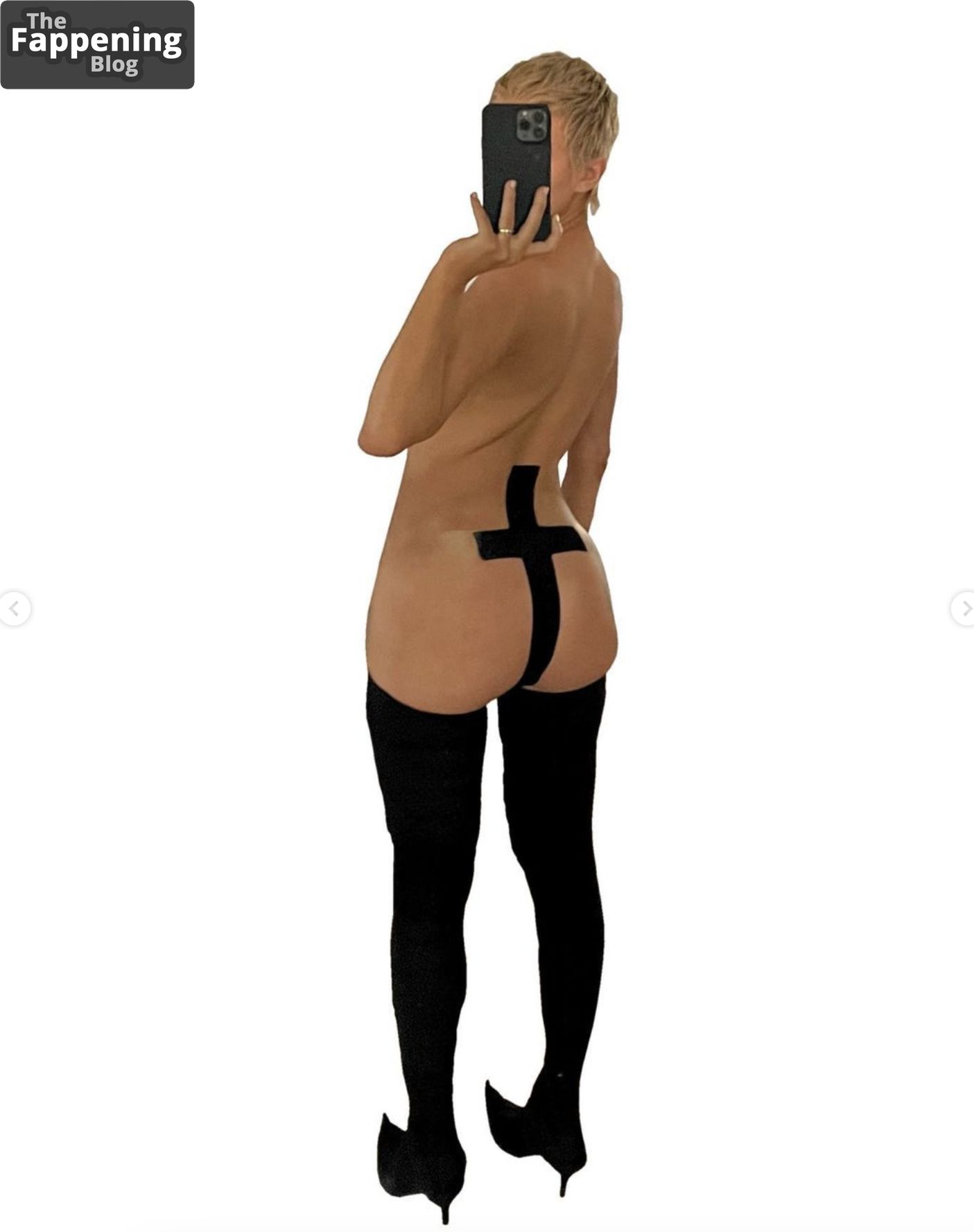 2f7670ec4771bd175c7cf03706f1d111c0e6cf61-the-fappening-pics